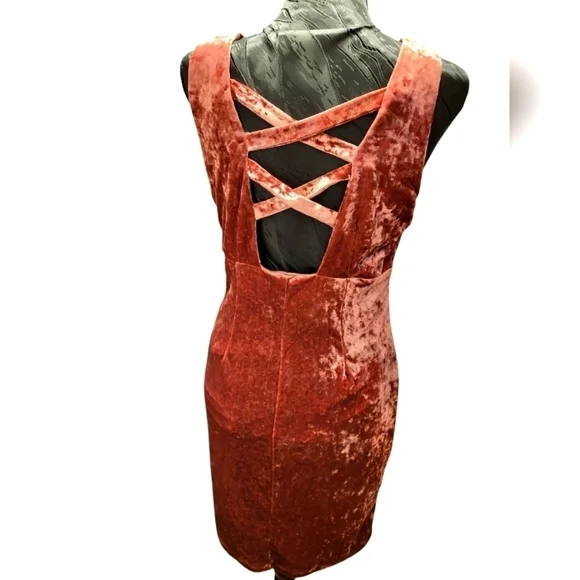 Molly Green Large Pink Velvet sleeveless Mini Dress - Picture 10 of 14